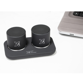 ENCEINTES DOUBLE RING S40